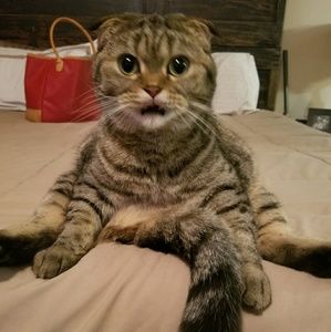 Meet your Posher, Christi